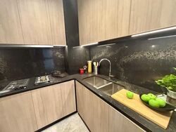 Jervois Privé (D10), Apartment #441301031